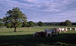 Woolsington Park - geograph.org.uk - 93335